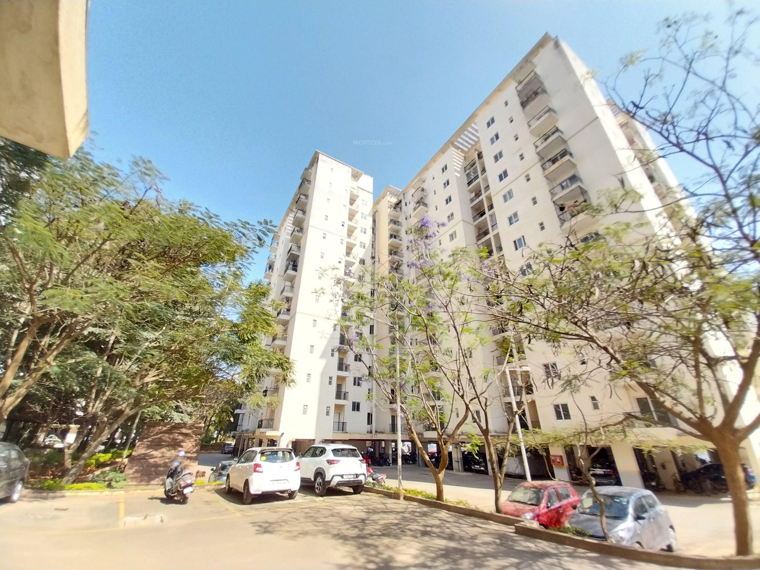  maiden-heights-at-my-town Elevation