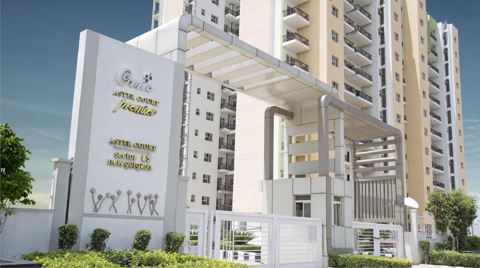  aster-court-premier Elevation