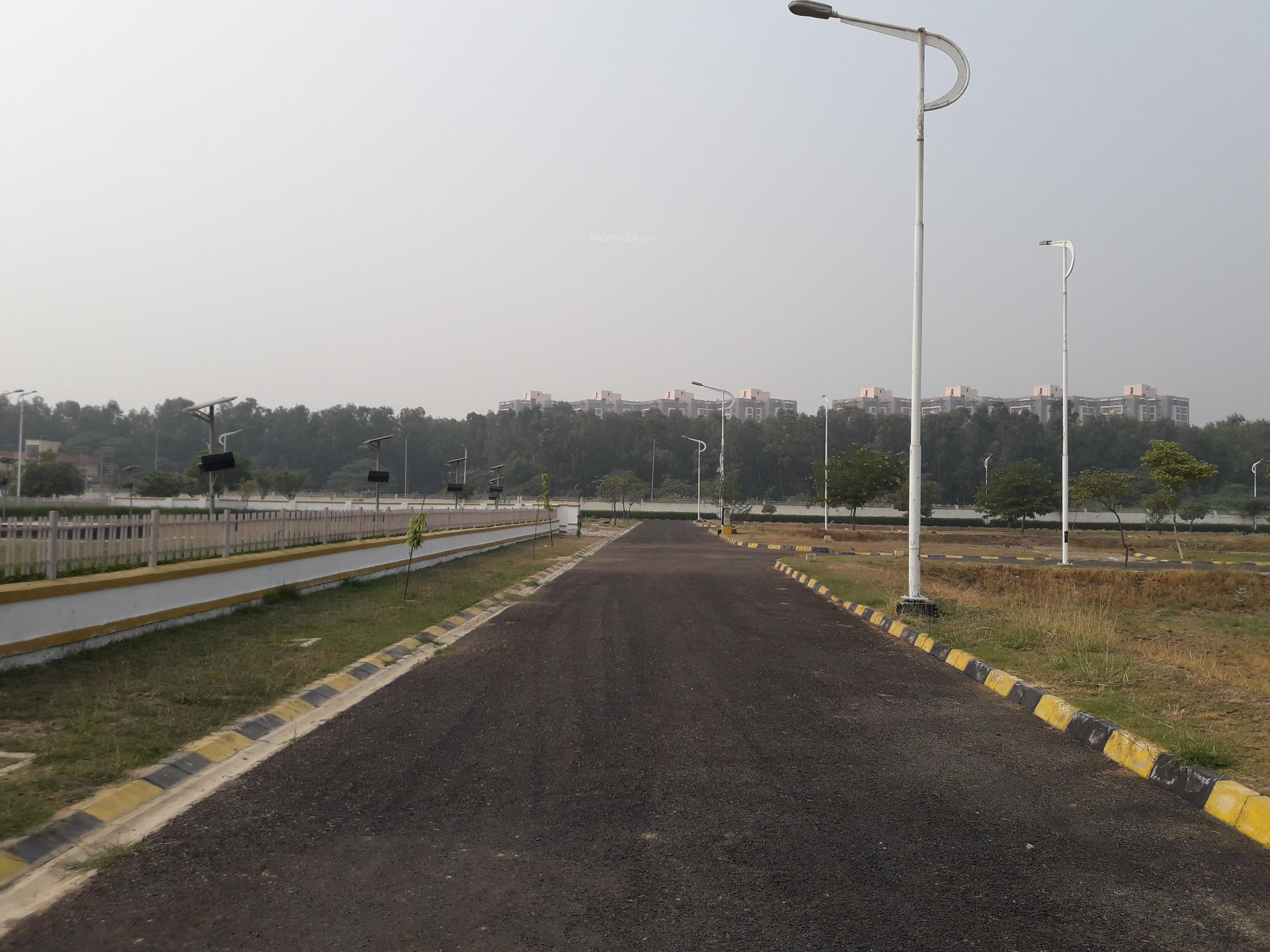 Lotus City