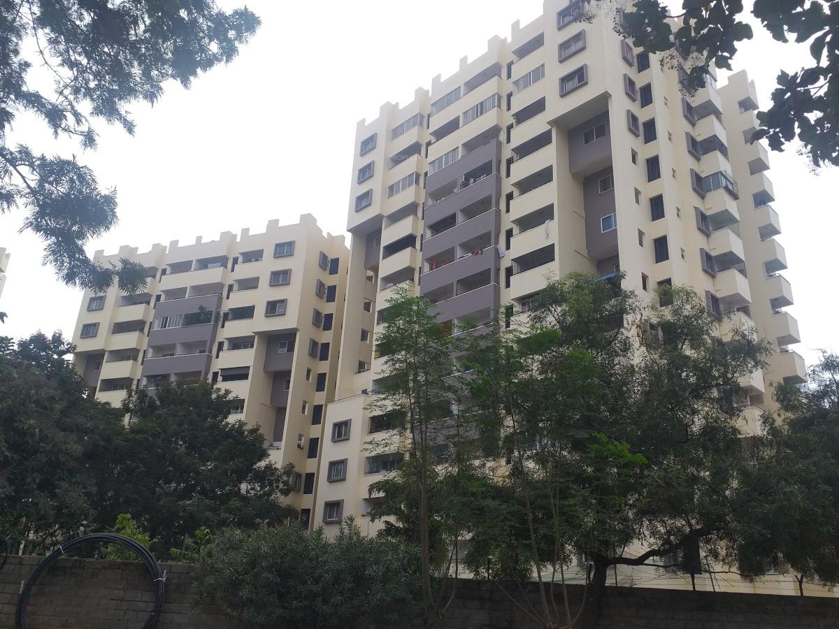  golden-palms Elevation