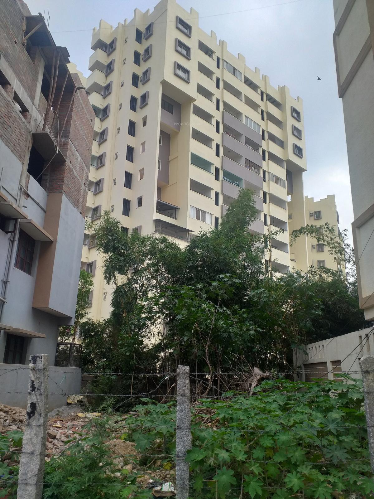  golden-palms Elevation
