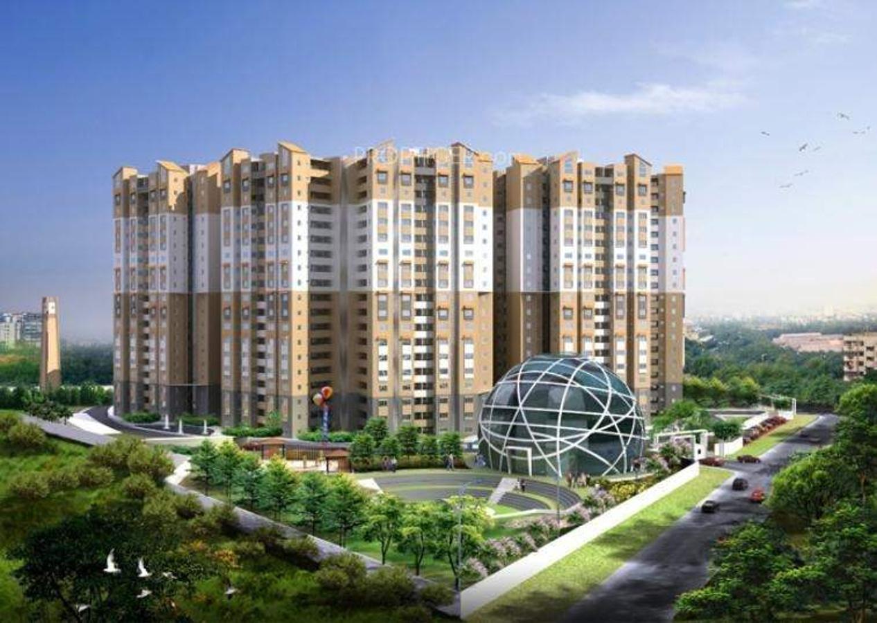 Images for Elevation of Ozone Evergreens