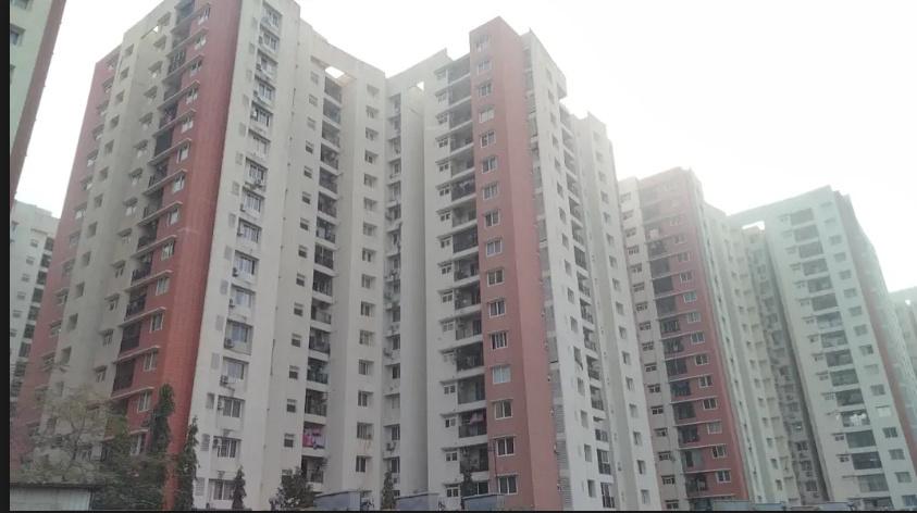 bella-vista Elevation