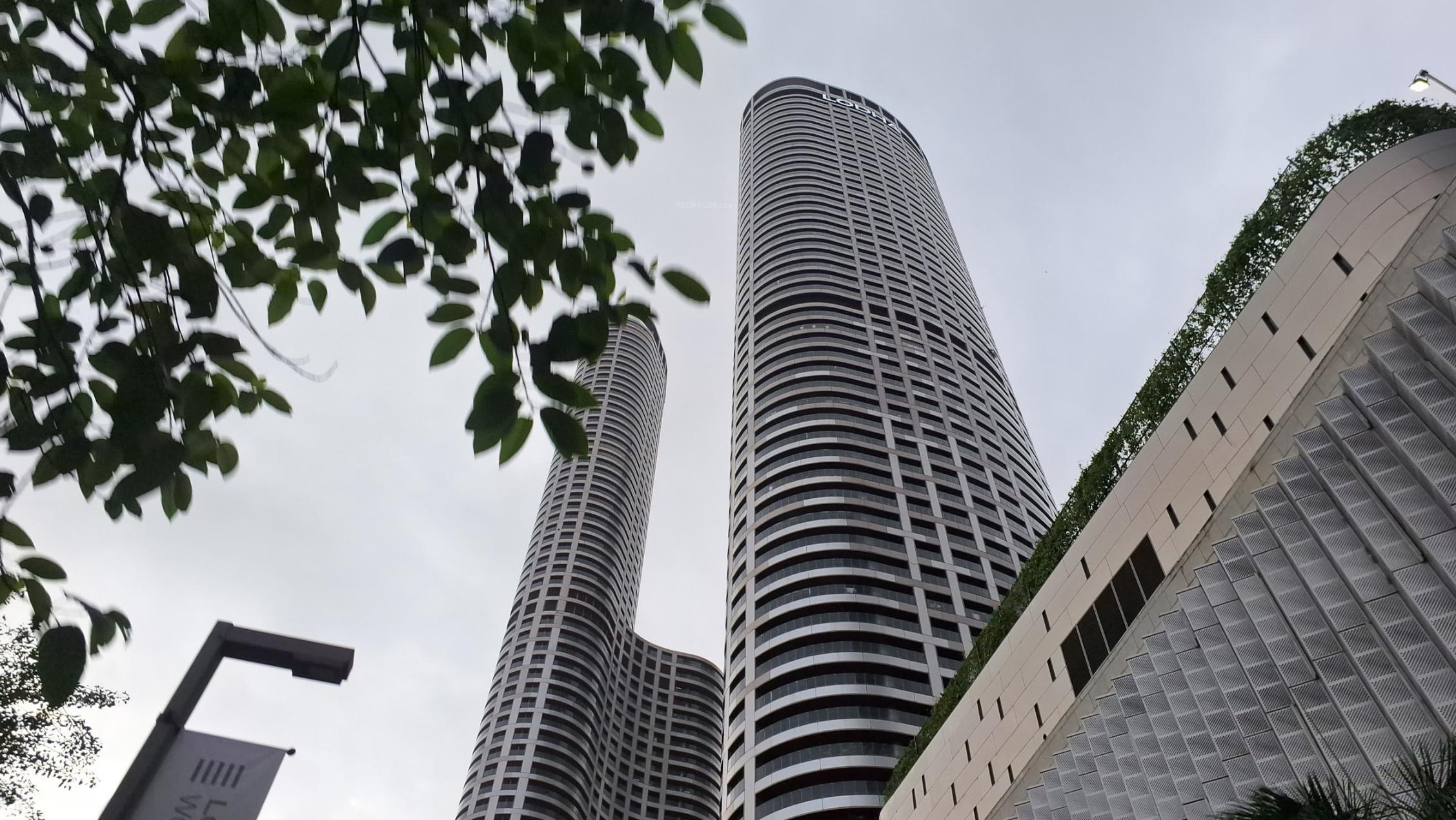  world-crest Elevation