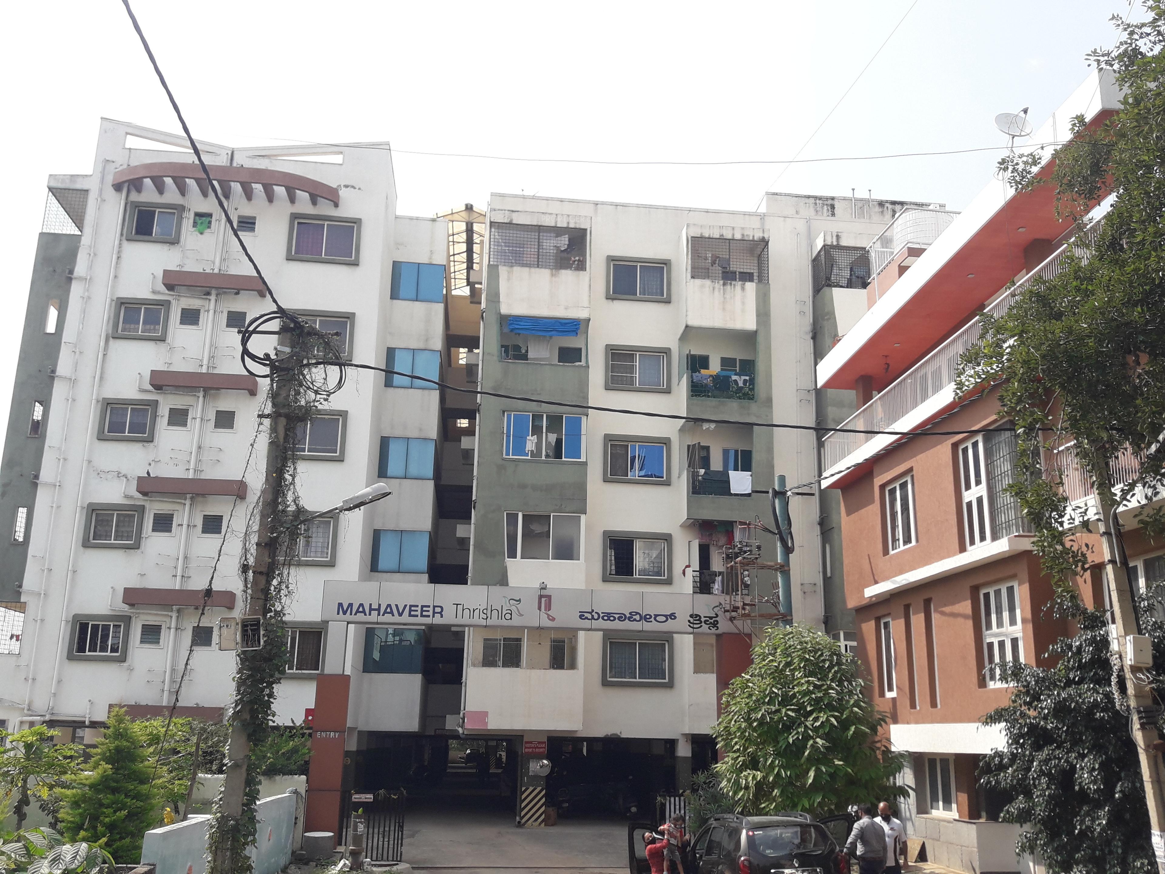  thrishla Elevation