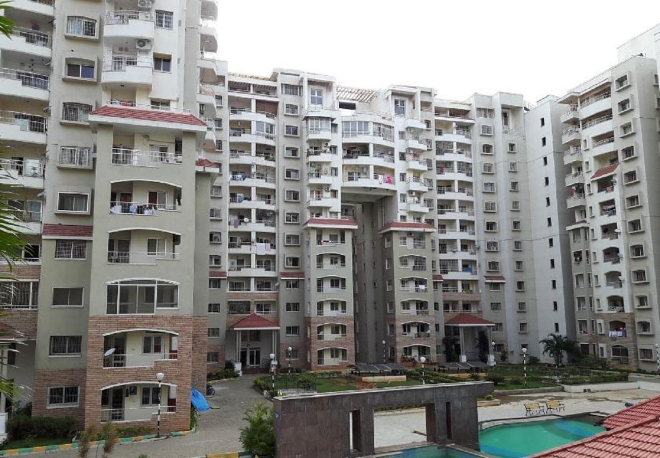  springfields Elevation