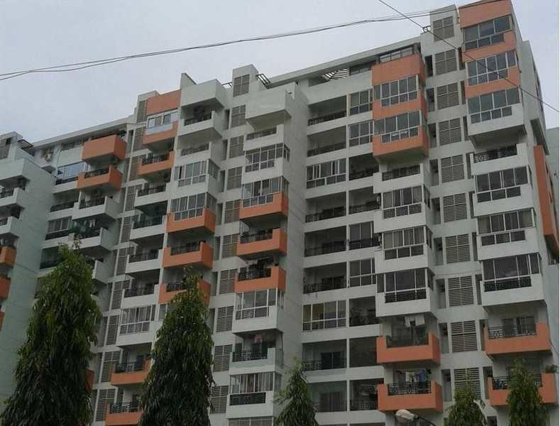  elite Elevation