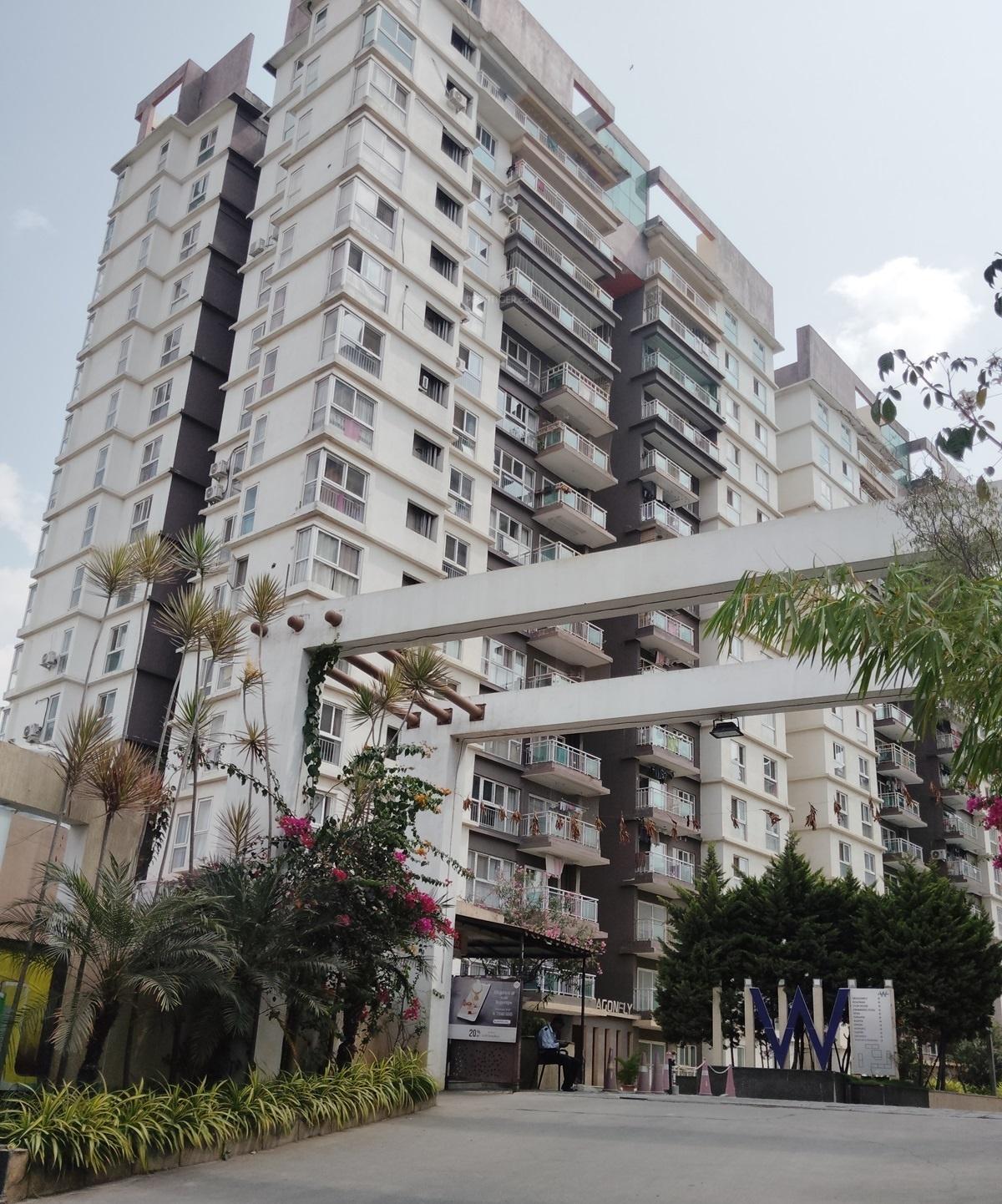  water-mark Elevation