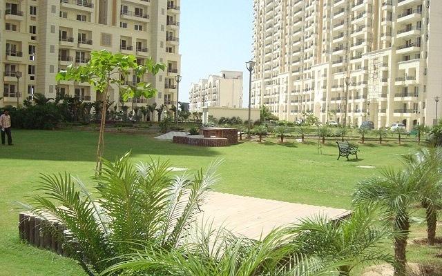  gardens Landscape Garden and Tree Planting