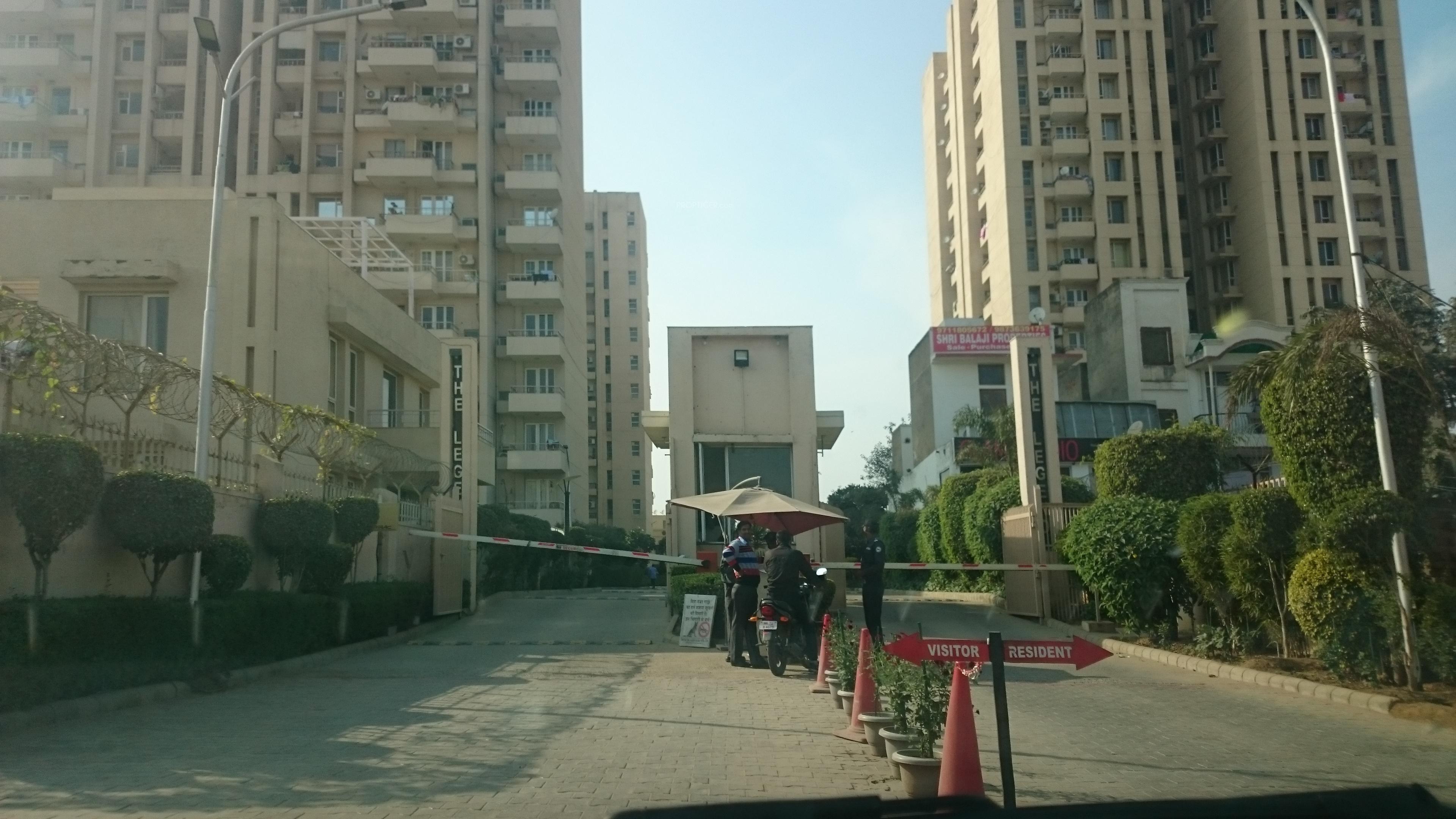  the-legend Elevation