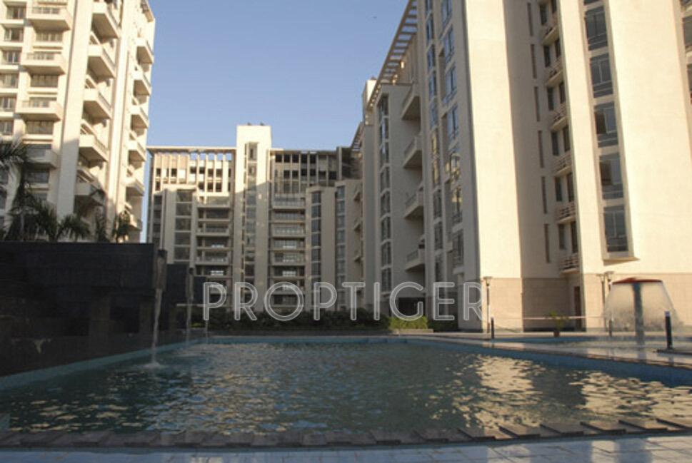 Images for Elevation of SS The Hibiscus