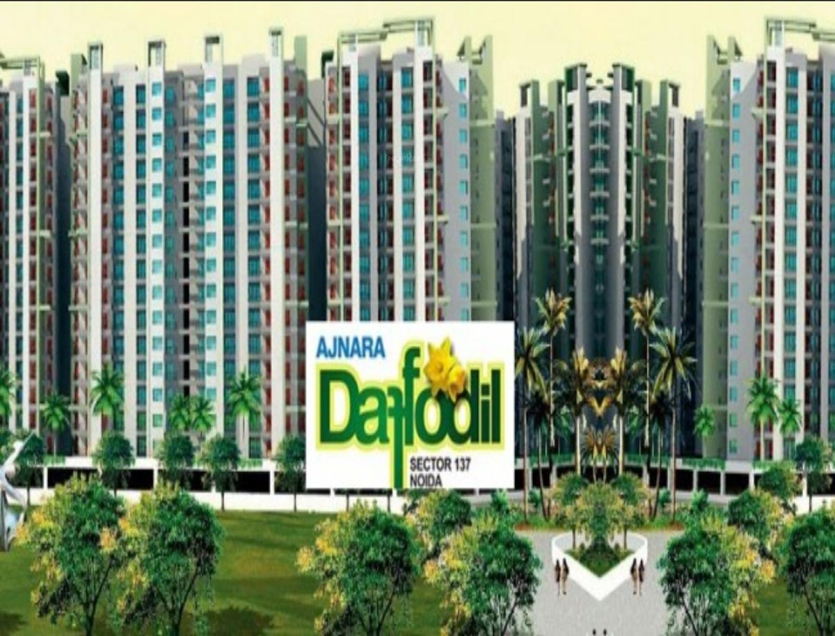  daffodil Images for Elevation of Ajnara Daffodil