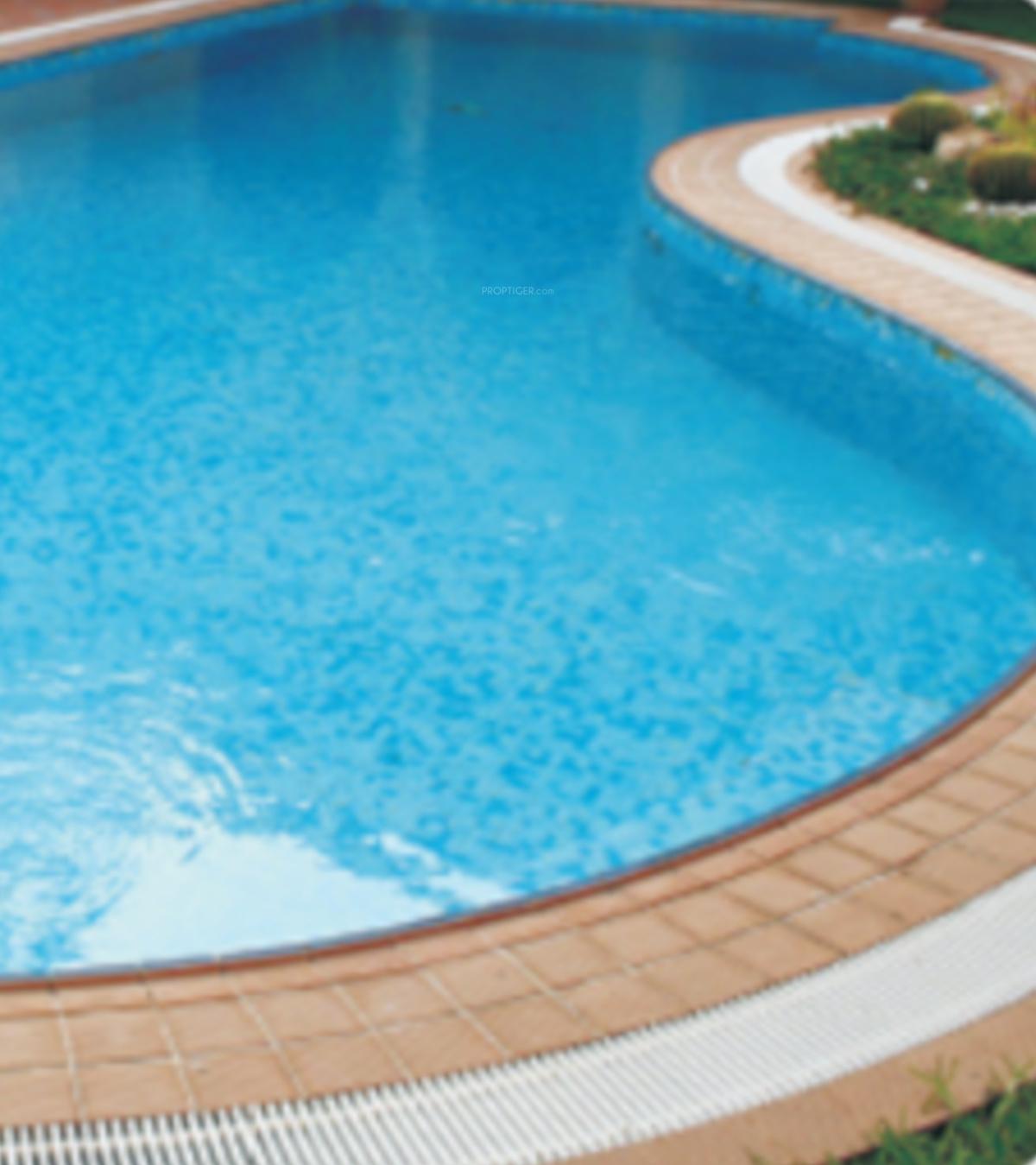  riverdale Swimming Pool