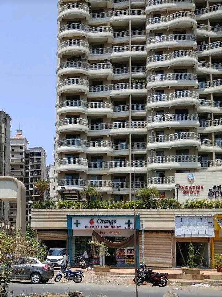  sai-spring Elevation