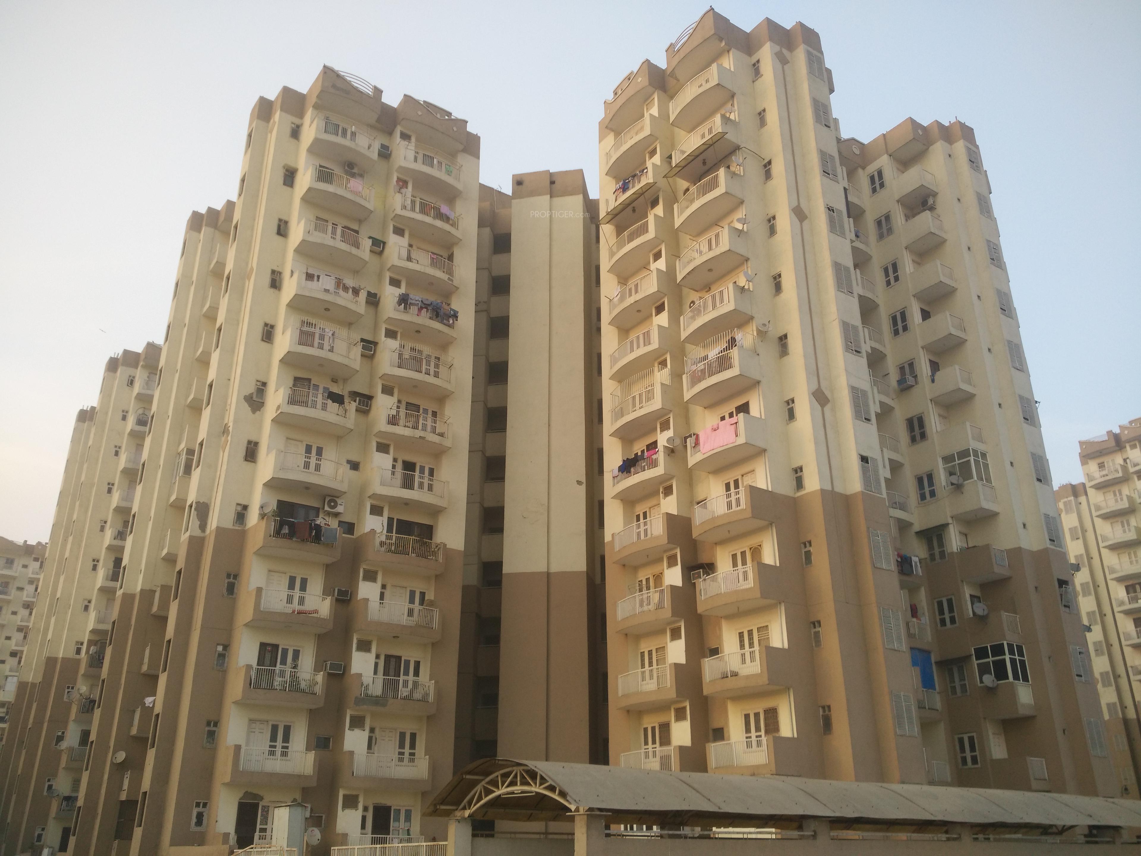Gulmohur Garden