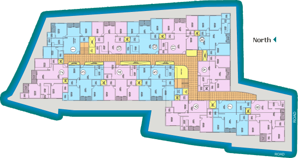 orchids Master Plan