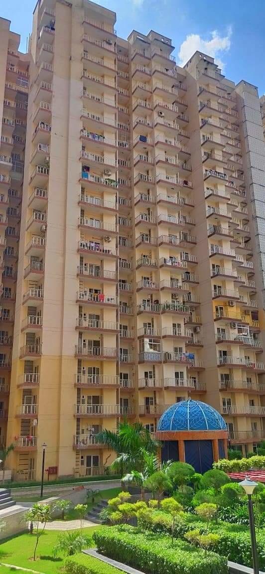  french-apartments Elevation