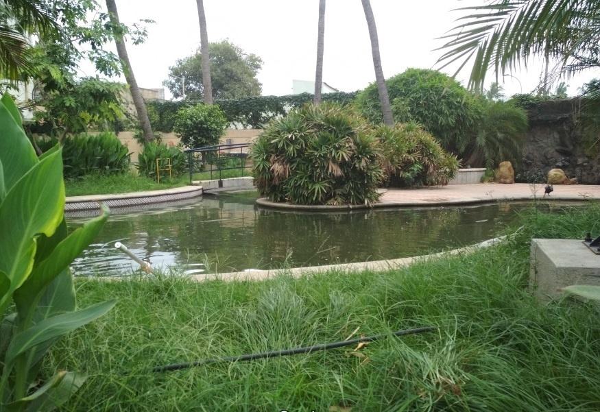 Landscape Garden and Tree Planting