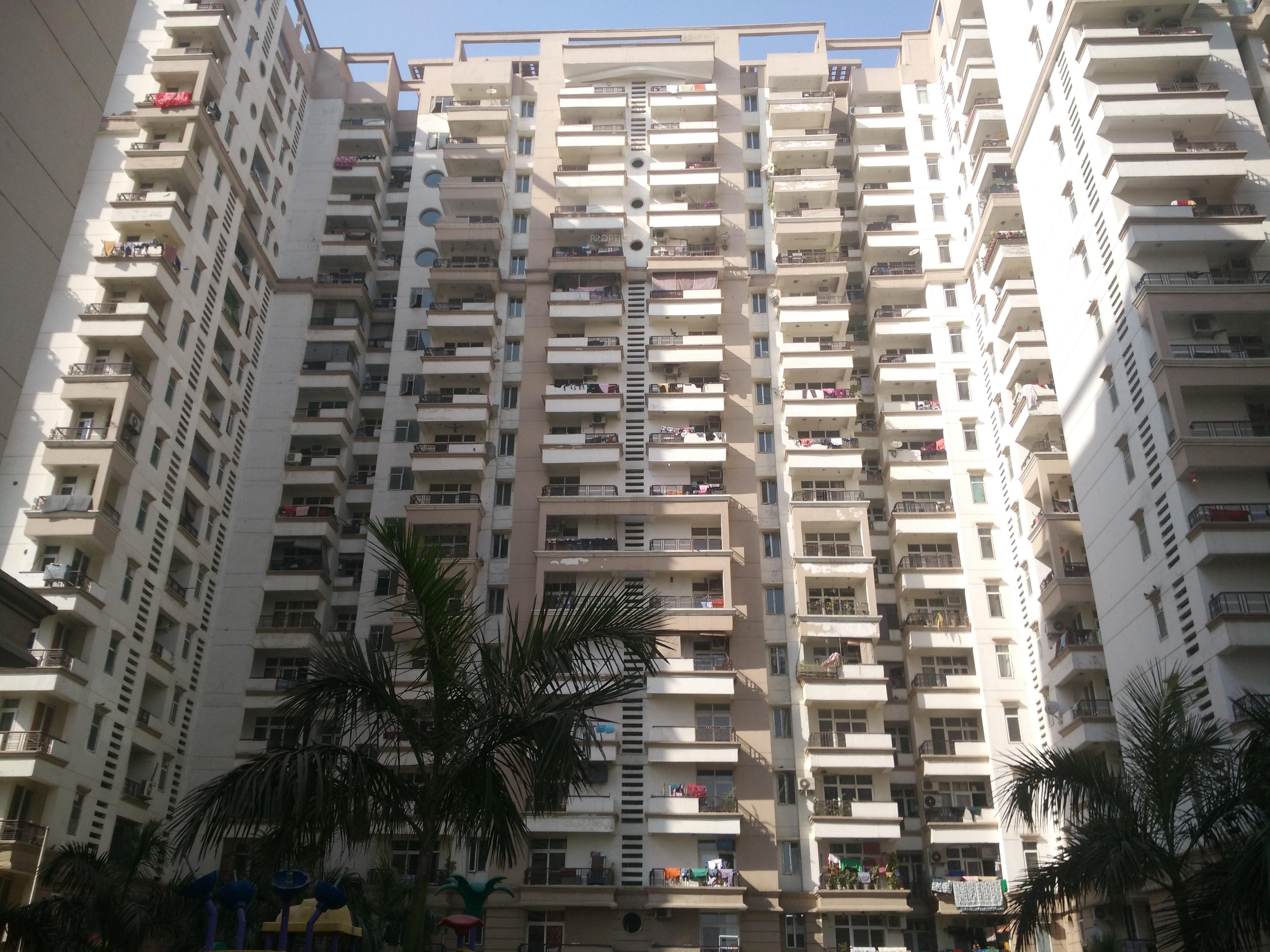  pearl-court Elevation