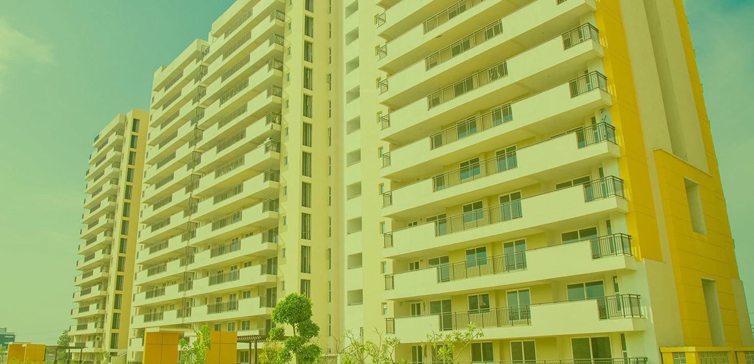  lumbini-terrace-homes Elevation