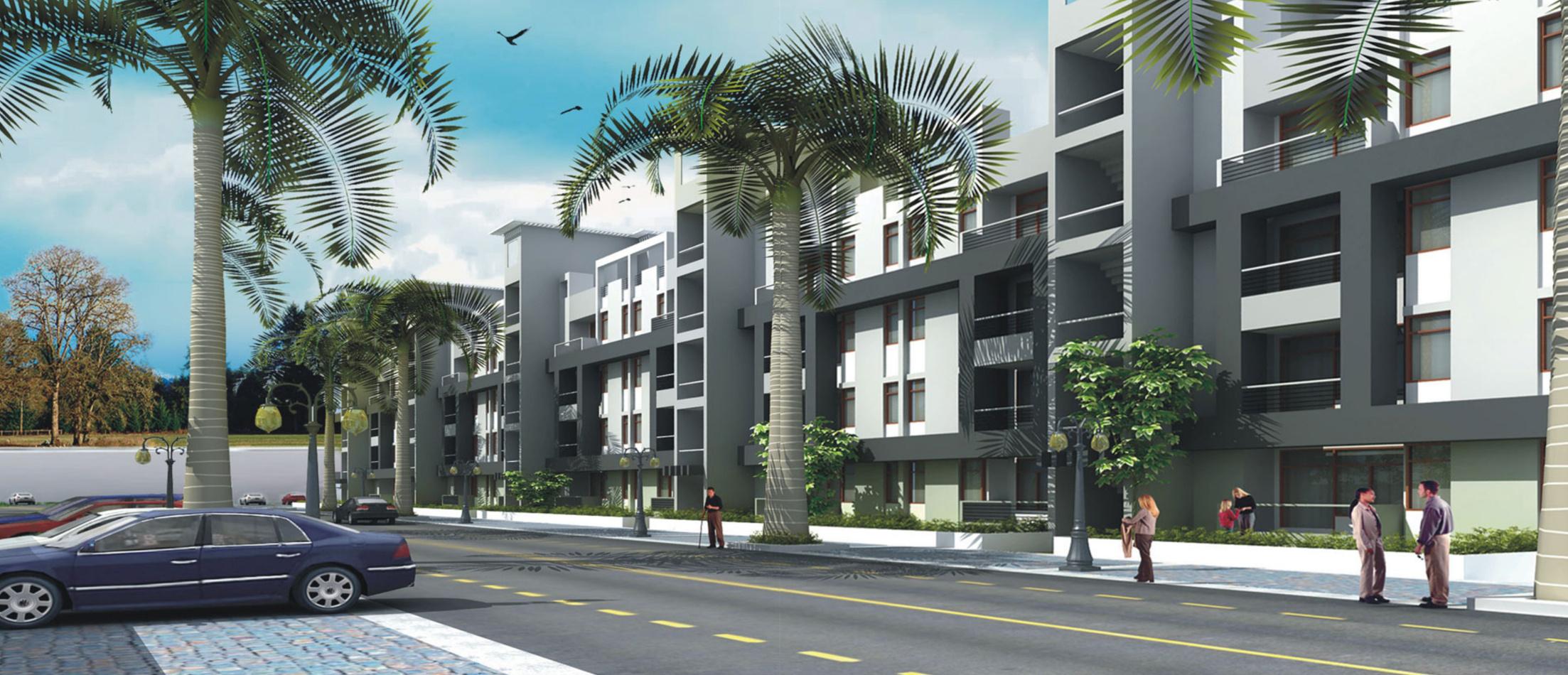 Palm Grove