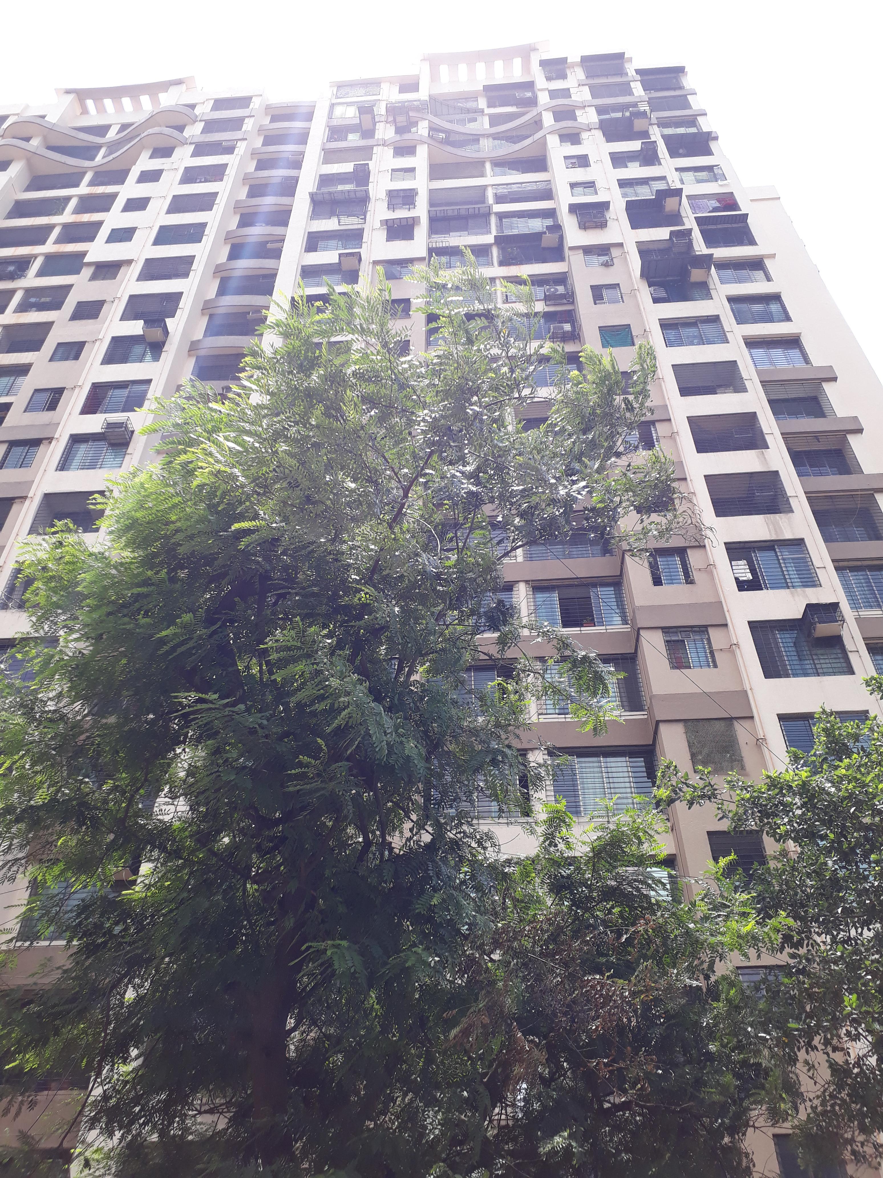  raj-legacy-iii Elevation