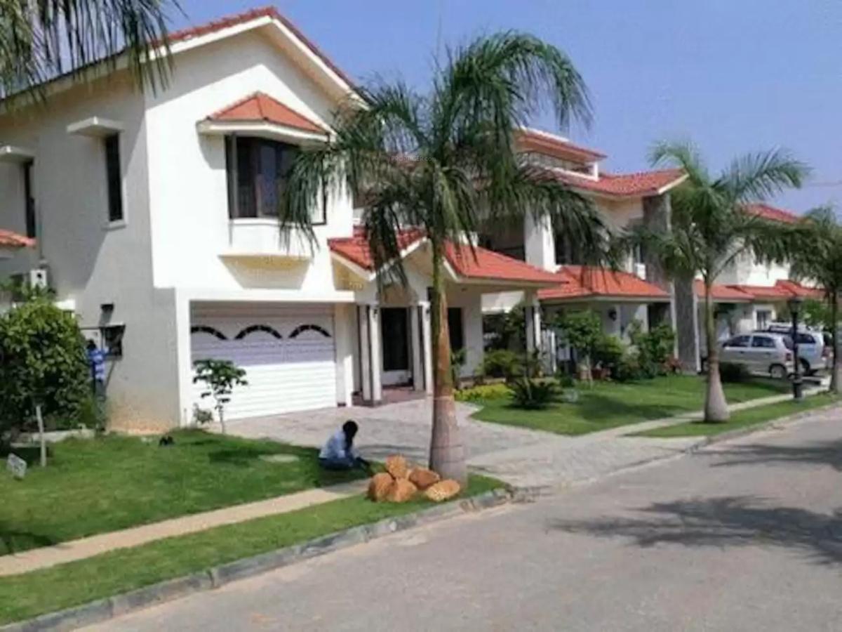  lake-vista Elevation