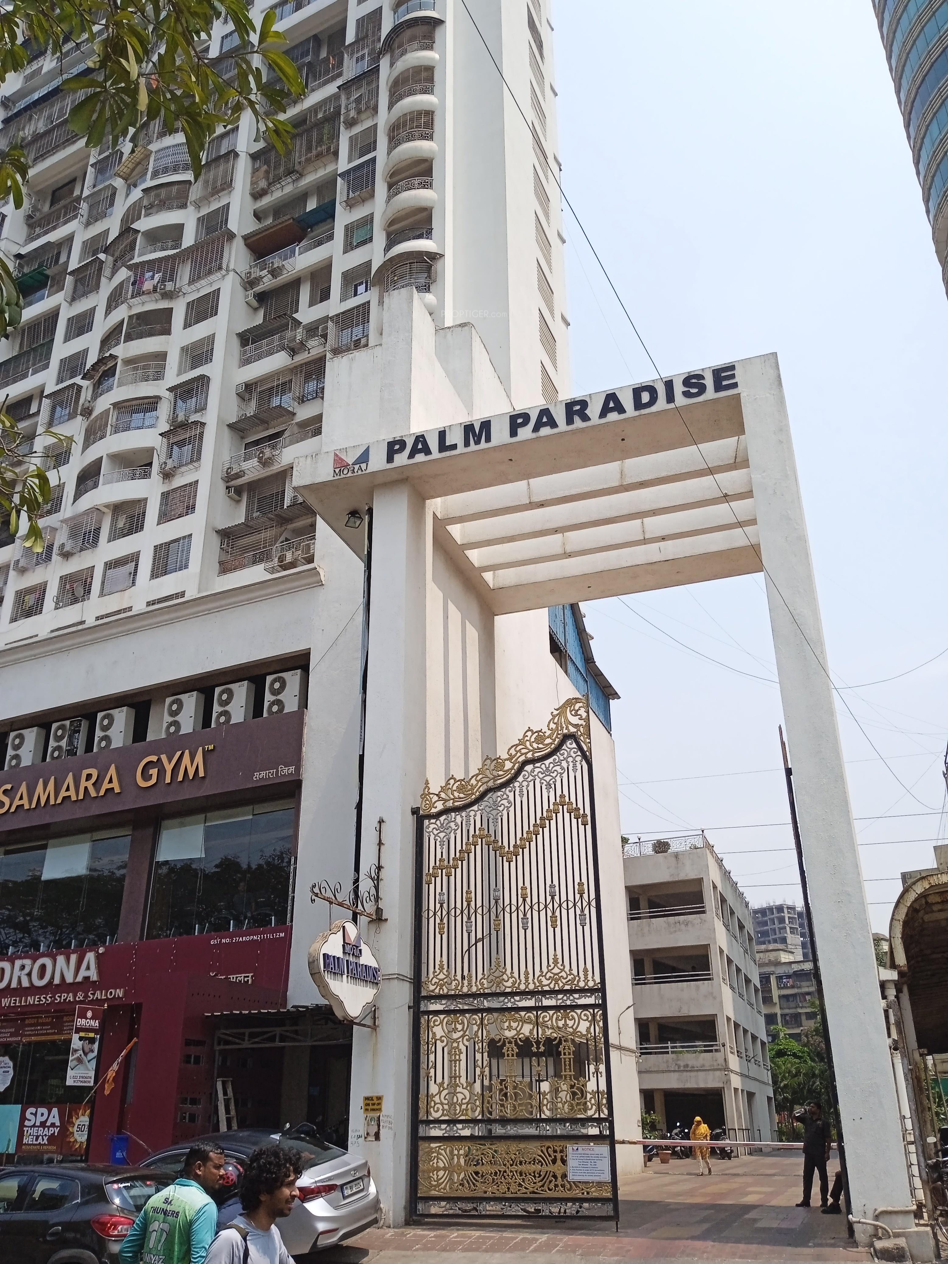  palm-paradise Elevation