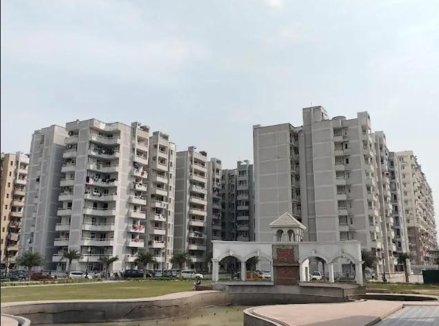  delhi-99 Elevation