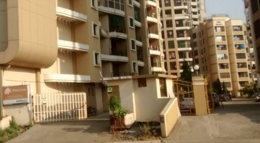  white-lotus Elevation