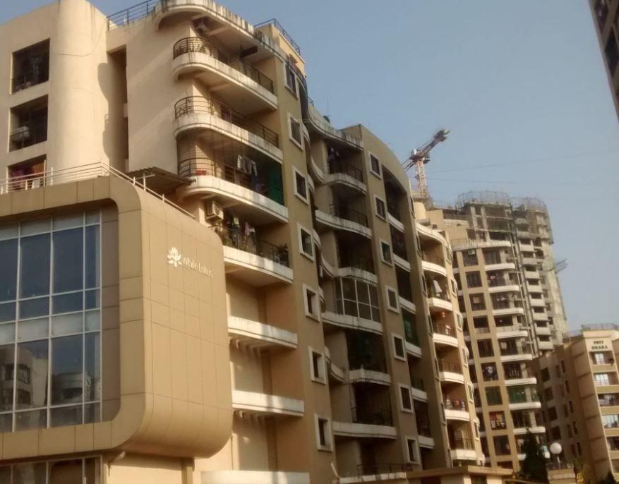  white-lotus Elevation