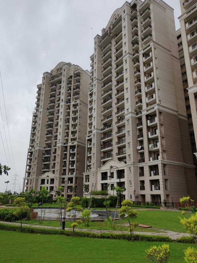  golf-meadows-lifestyle Elevation