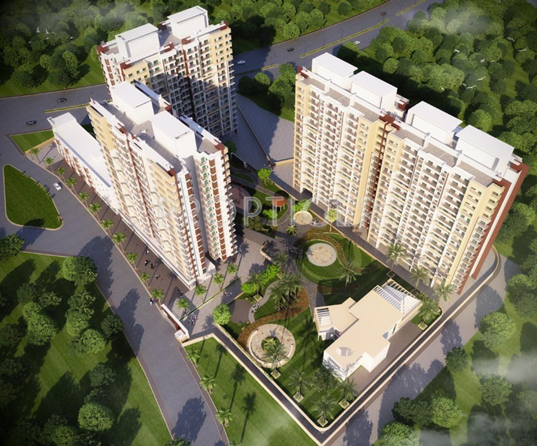  gardenia Images for Elevation of Rosa Gardenia