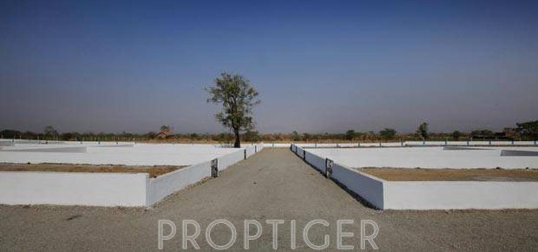 Images for Elevation of Right 5 Streaks