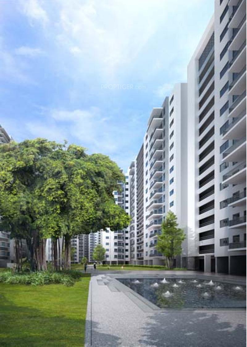  today Images for Elevation of Akshaya Today