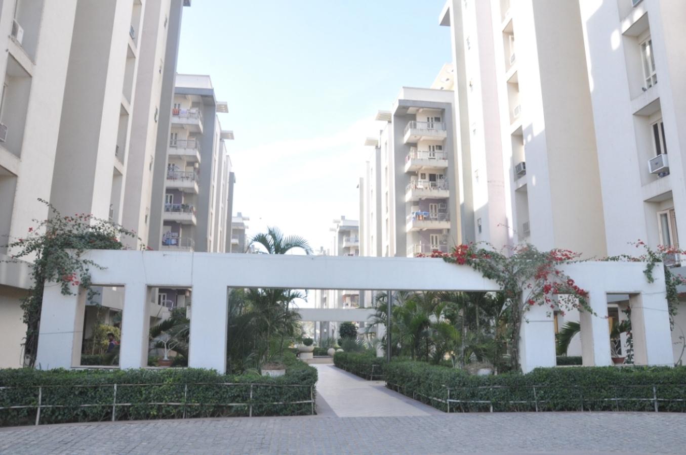 Images for Elevation of Mahima Mahima Iris