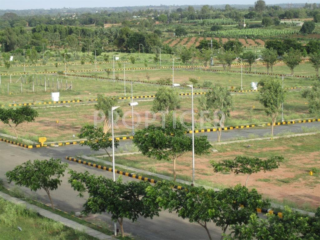 River View Garden