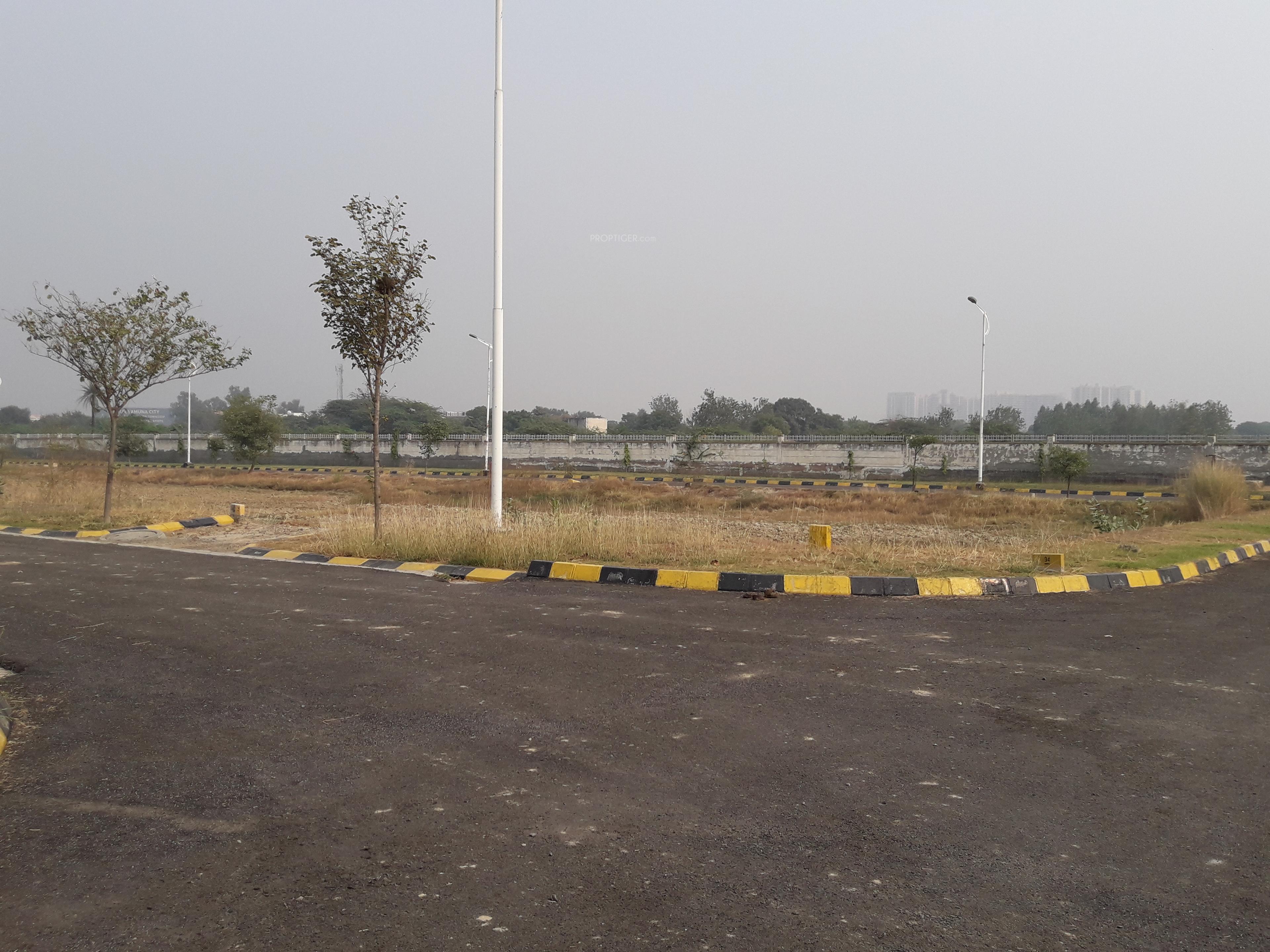 Curio City Plots