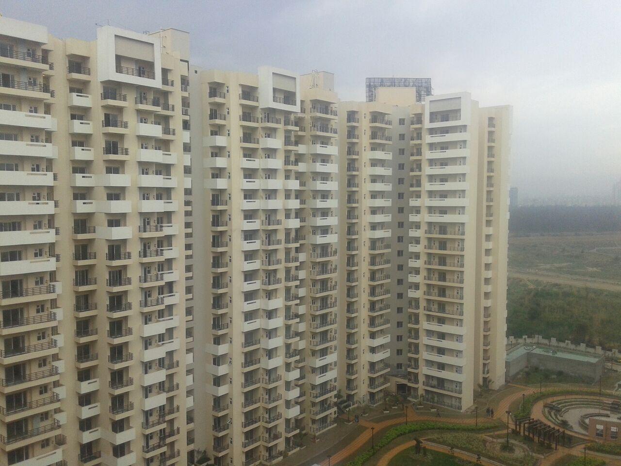  fresco Images for Elevation of Exotica Fresco