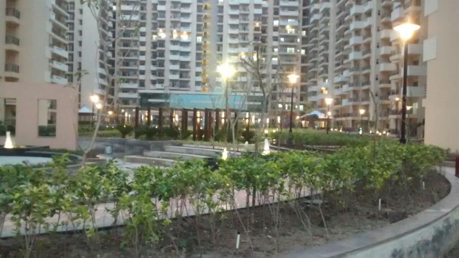  fresco Images for Elevation of Exotica Fresco