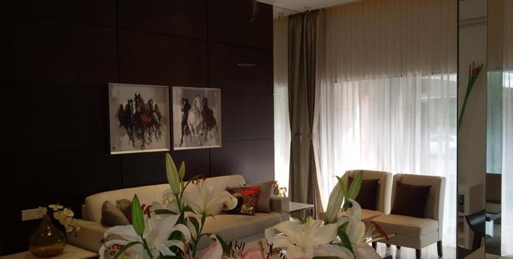  kingdom Images for Main Other of Shah Kingdom