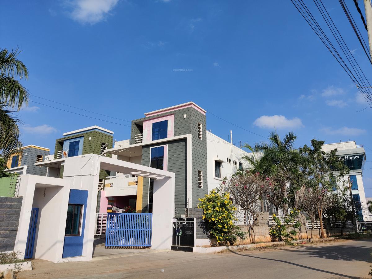  homes Elevation