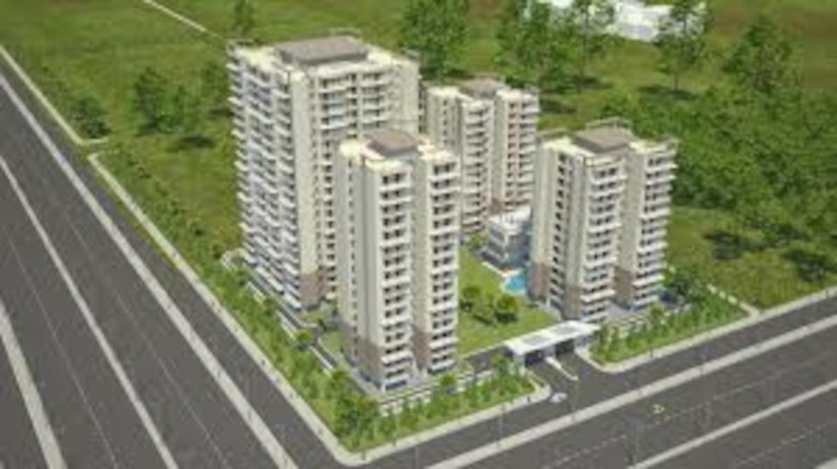  the-urban-young Elevation