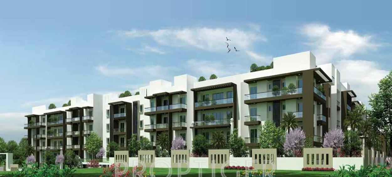  jonquil Images for Elevation of Mahaveer Jonquil