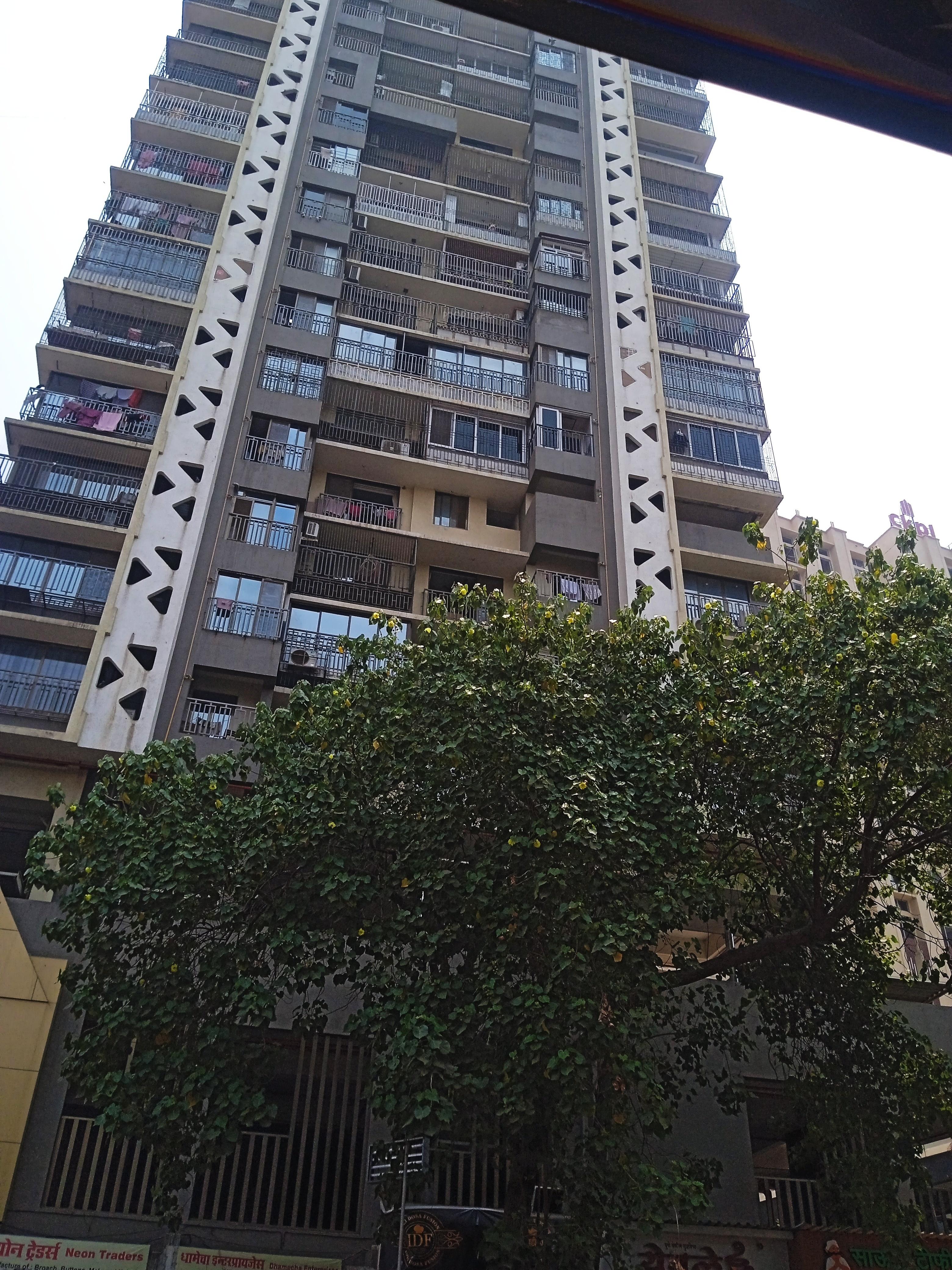  elite Elevation