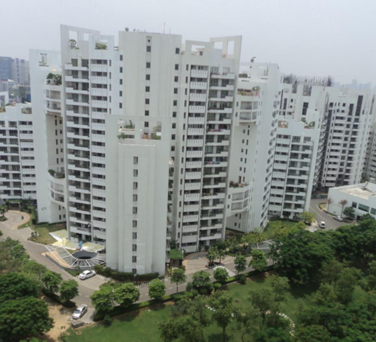  exotica Elevation