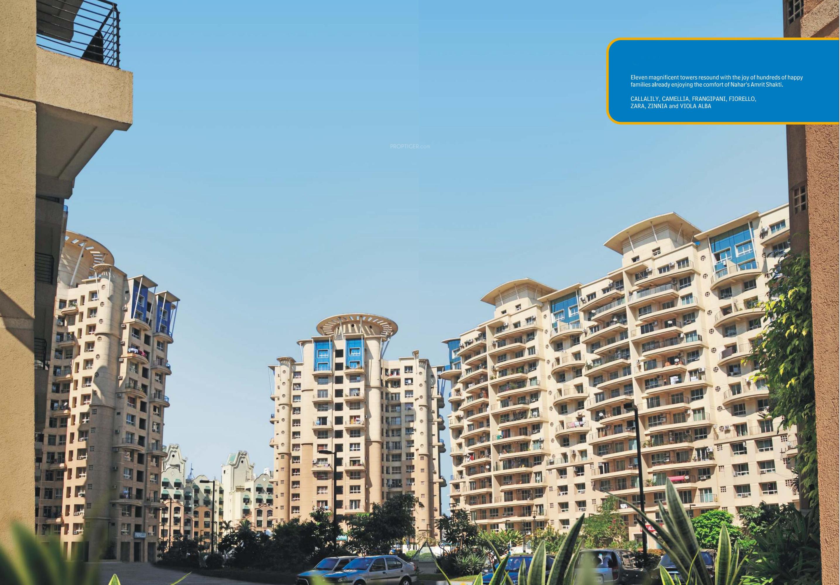 Images for Elevation of Nahar Laurel and Lilac