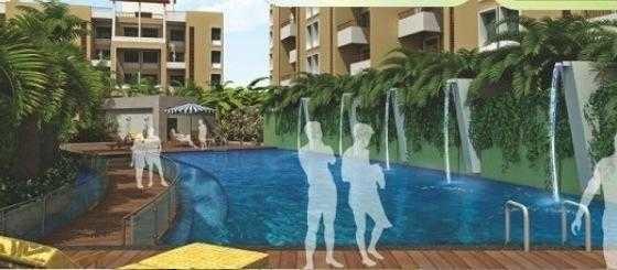  eco-gram Swimming Pool