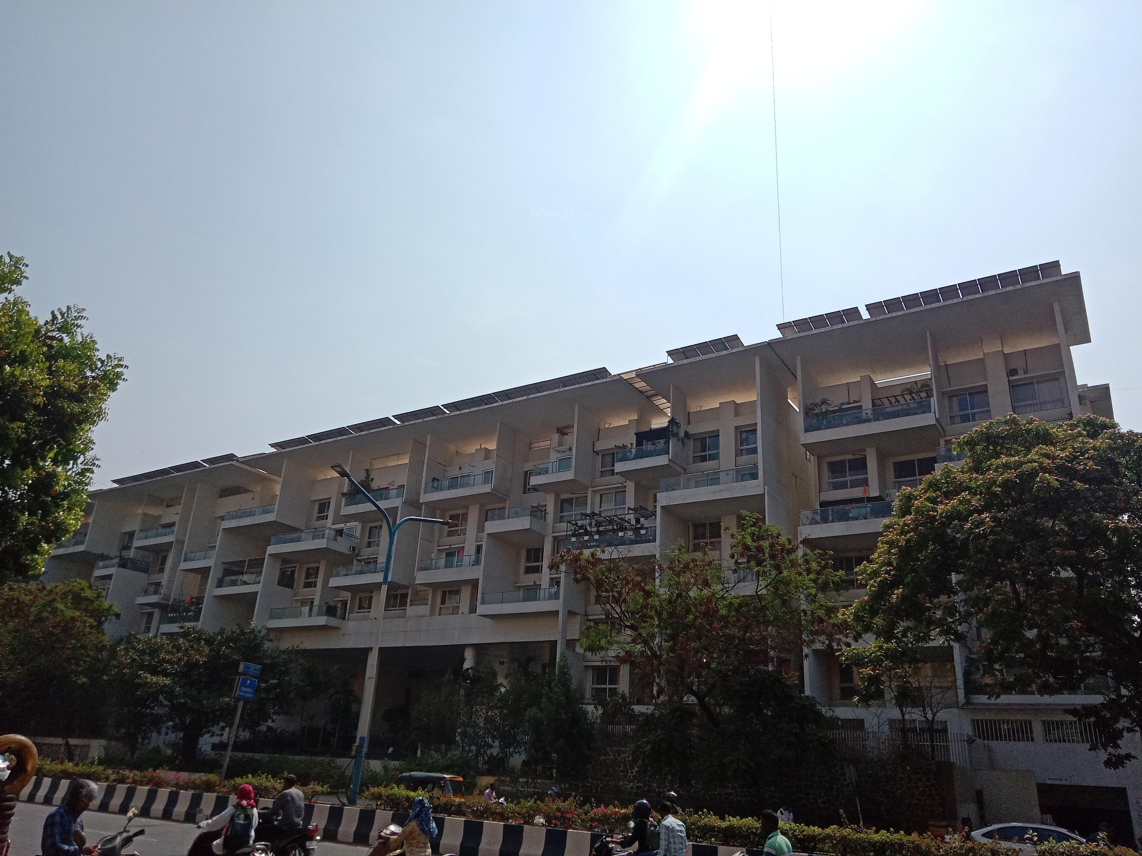  kritika Elevation