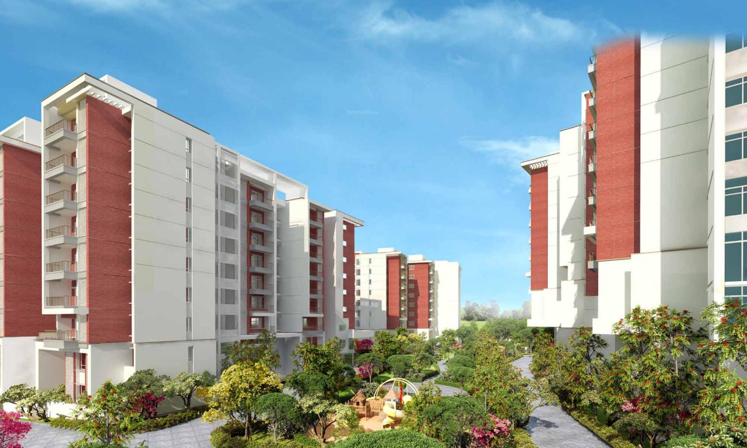 Images for Elevation of Brigade Symphony